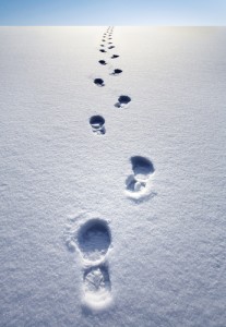 footprintssnow